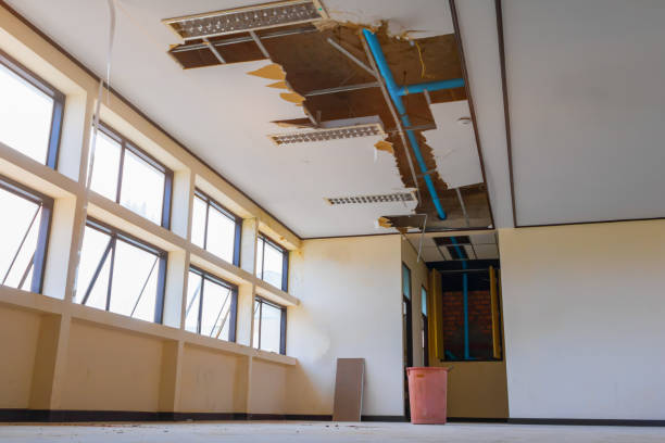 Best Fire Damage Restoration  in Grand Rapids, MN