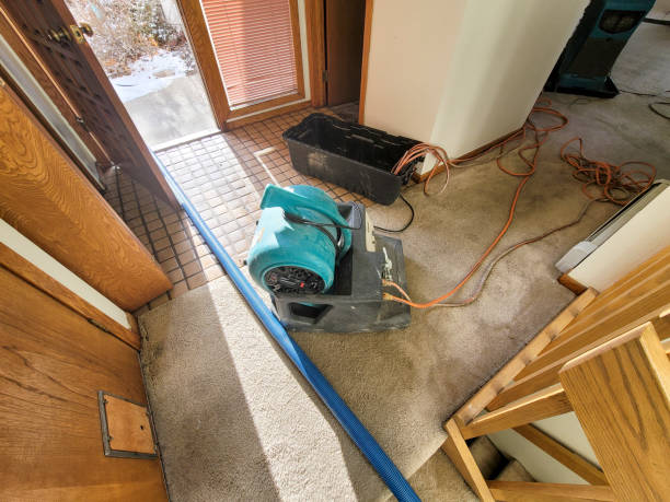 Trusted Grand Rapids, MN Water damage restoration Experts
