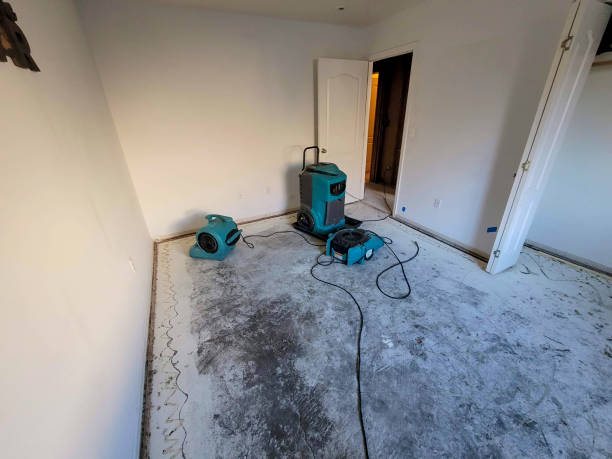 Best Local water damage restoration  in Grand Rapids, MN