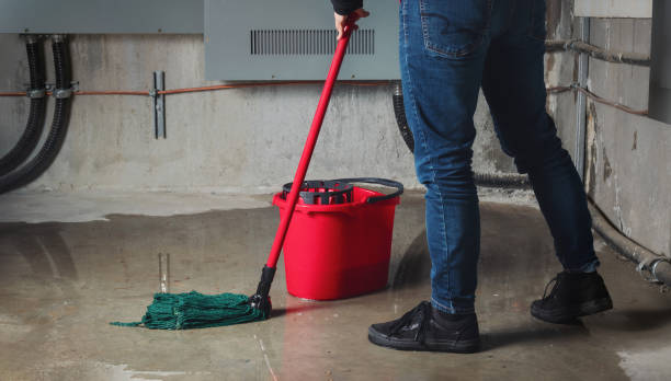 Best 24-hour water damage restoration  in Grand Rapids, MN