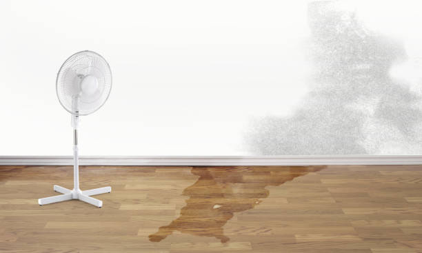 Reliable Grand Rapids, MN Water damage restoration Solutions