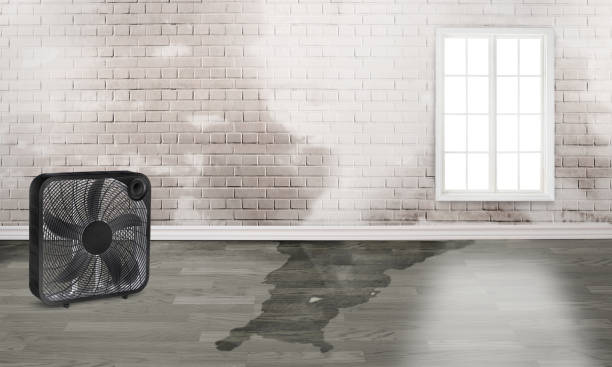 Best Flood restoration services  in Grand Rapids, MN