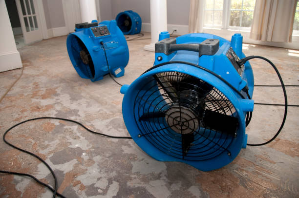 Best Professional water damage repair  in Grand Rapids, MN